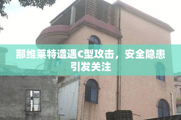 那维莱特遭遇C型攻击，安全隐患引发关注