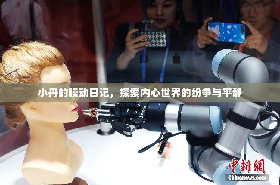 小丹的躁动日记，探索内心世界的纷争与平静