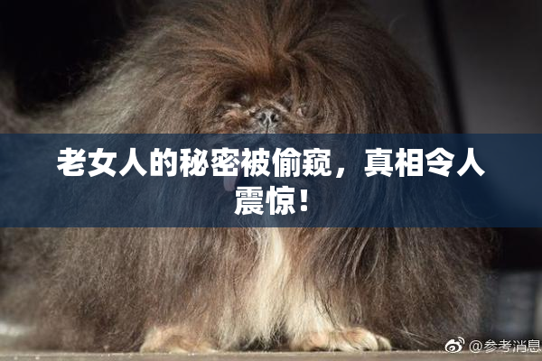 老女人的秘密被偷窥，真相令人震惊！