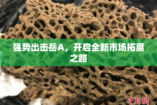 强势出击岳A，开启全新市场拓展之路