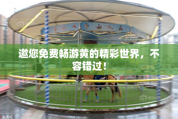 邀您免费畅游黄的精彩世界，不容错过！