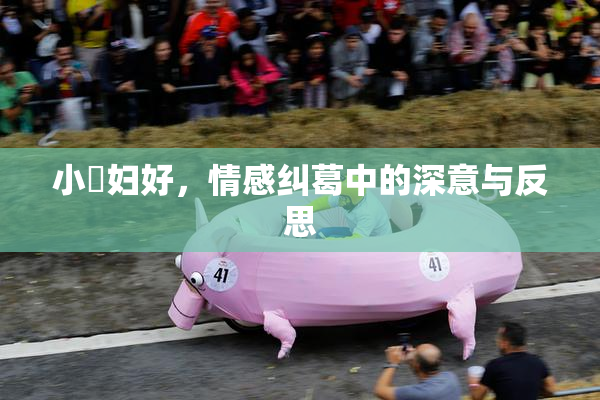 小婬妇好，情感纠葛中的深意与反思