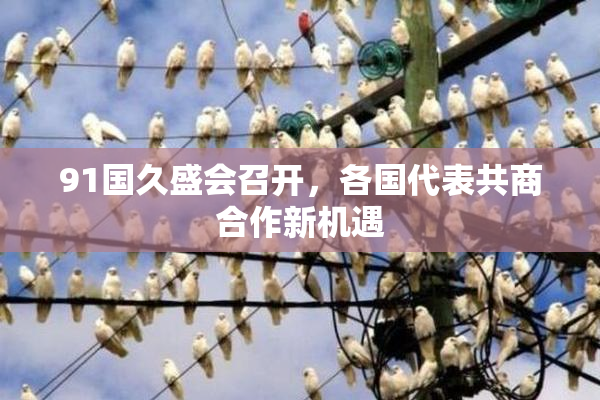 91国久盛会召开，各国代表共商合作新机遇