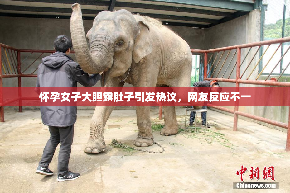 怀孕女子大胆露肚子引发热议，网友反应不一