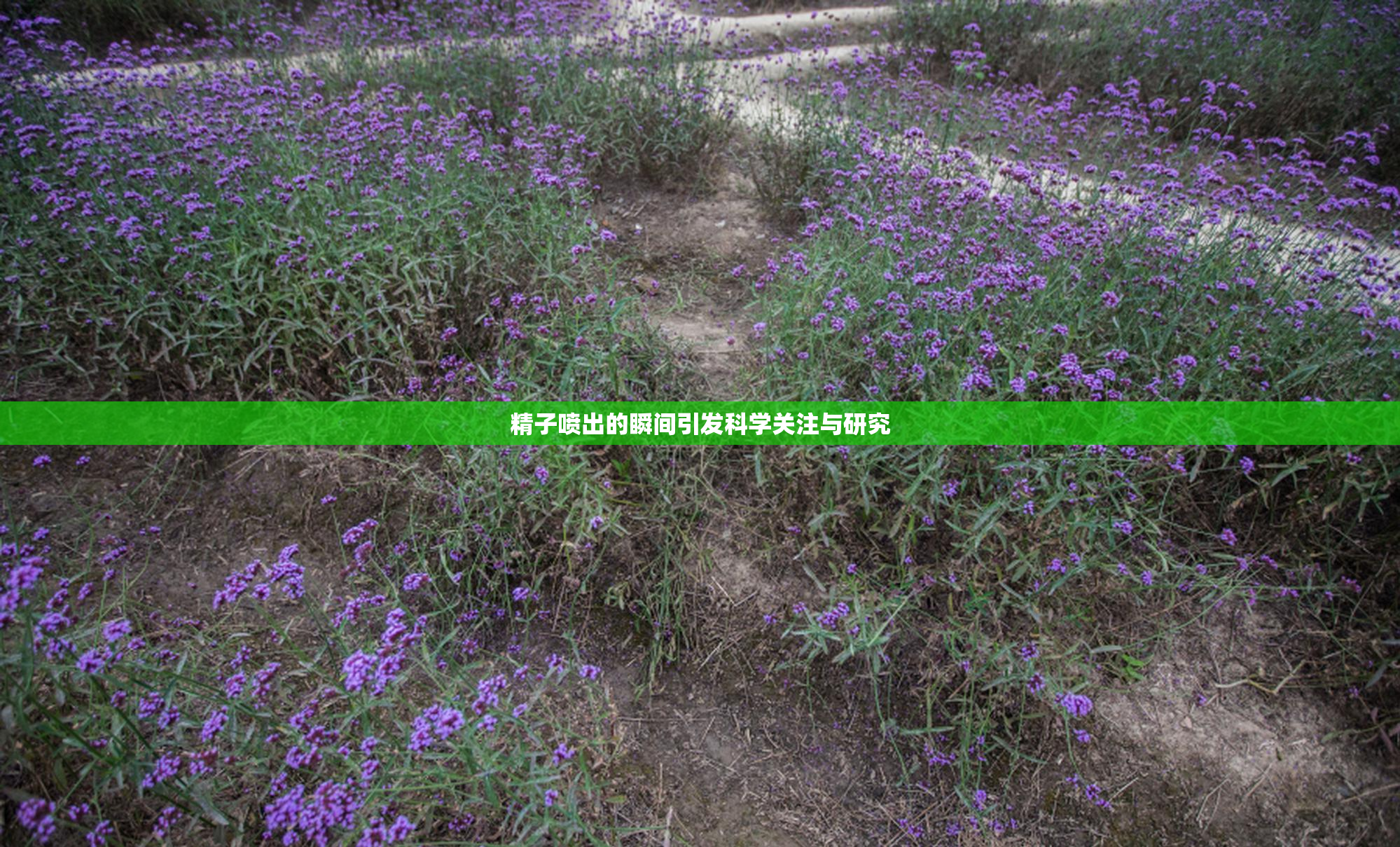 精子喷出的瞬间引发科学关注与研究