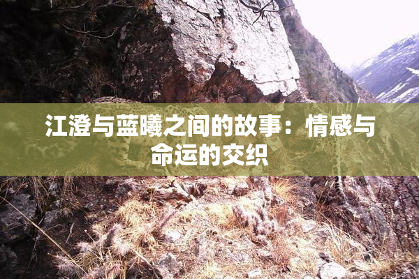 江澄与蓝曦之间的故事：情感与命运的交织