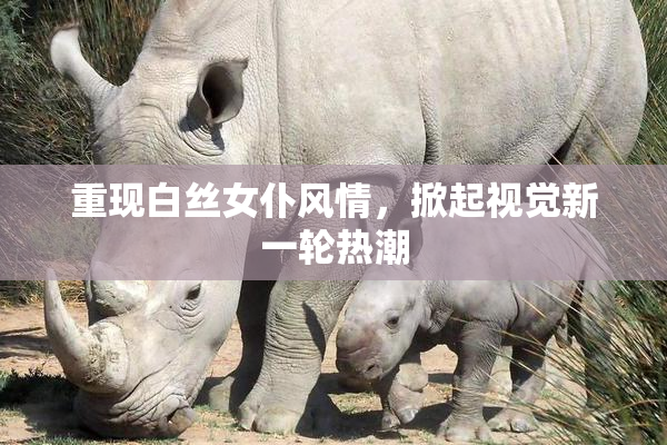 重现白丝女仆风情，掀起视觉新一轮热潮