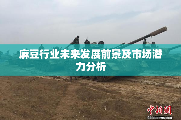 麻豆行业未来发展前景及市场潜力分析