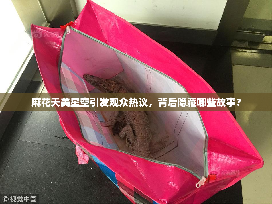 麻花天美星空引发观众热议，背后隐藏哪些故事？