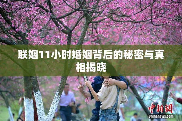 联姻11小时婚姻背后的秘密与真相揭晓