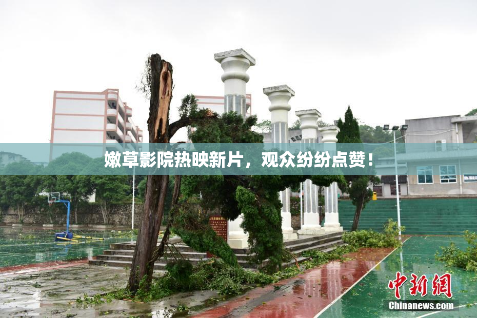嫩草影院热映新片，观众纷纷点赞！