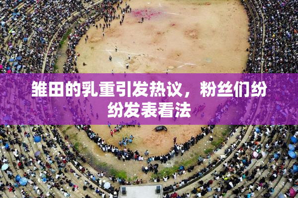 雏田的乳重引发热议，粉丝们纷纷发表看法