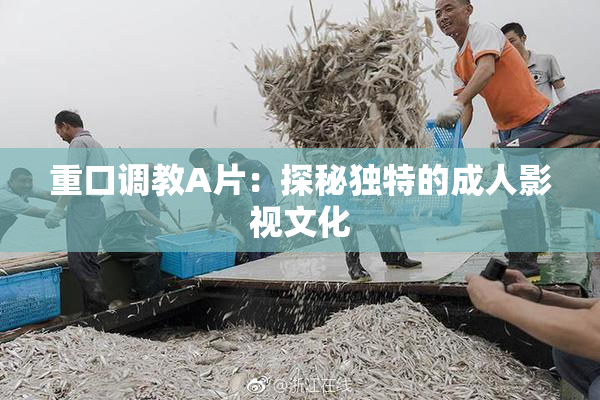 重口调教A片：探秘独特的成人影视文化