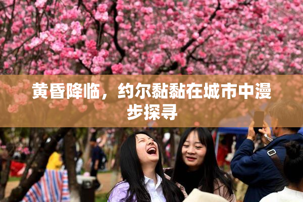 黄昏降临，约尔黏黏在城市中漫步探寻