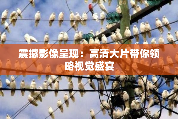 震撼影像呈现：高清大片带你领略视觉盛宴