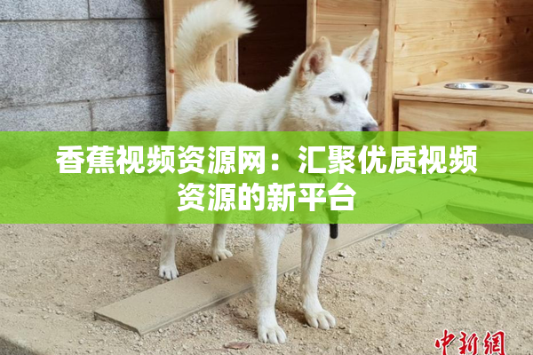 香蕉视频资源网：汇聚优质视频资源的新平台