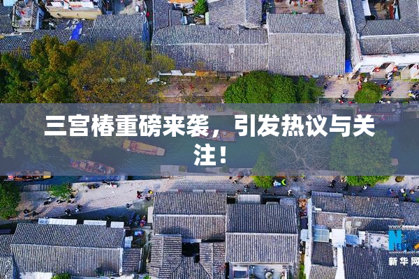 三宫椿重磅来袭，引发热议与关注！