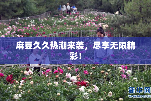 麻豆久久热潮来袭，尽享无限精彩！