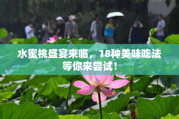水蜜桃盛宴来临，18种美味吃法等你来尝试！