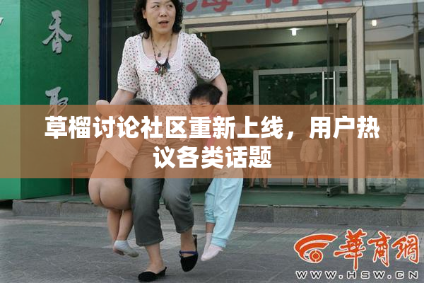 草榴讨论社区重新上线，用户热议各类话题