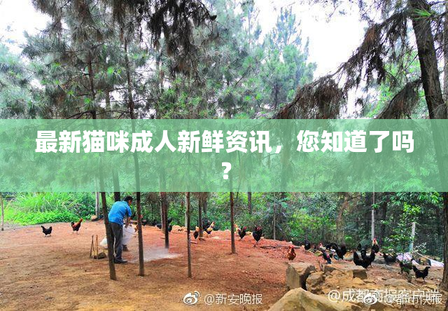 最新猫咪成人新鲜资讯，您知道了吗？