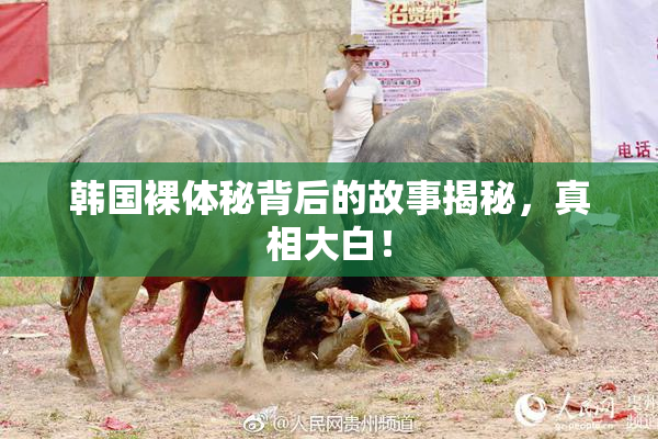 韩国裸体秘背后的故事揭秘，真相大白！