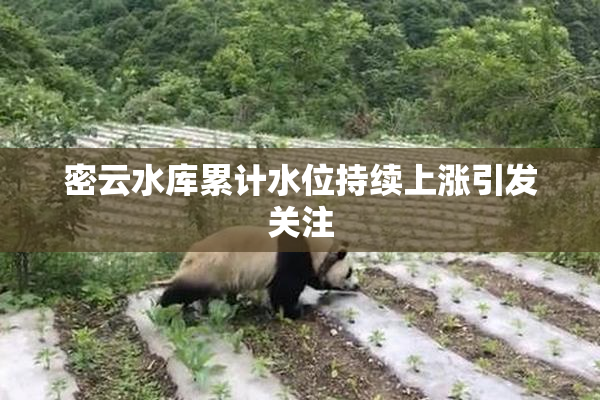 密云水库累计水位持续上涨引发关注