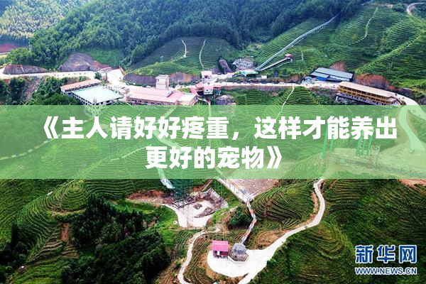 《主人请好好疼重，这样才能养出更好的宠物》