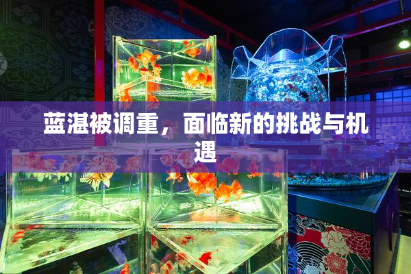 蓝湛被调重，面临新的挑战与机遇