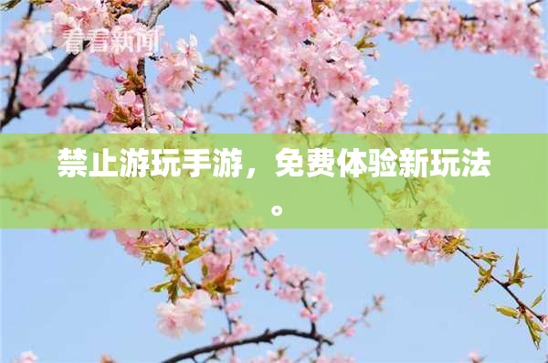 禁止游玩手游，免费体验新玩法。