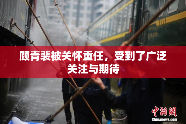 顾青裴被关怀重任，受到了广泛关注与期待