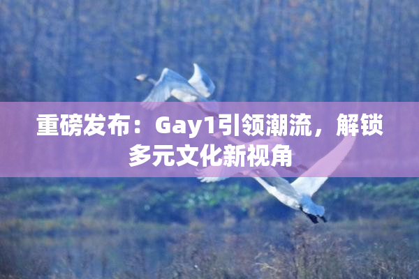重磅发布：Gay1引领潮流，解锁多元文化新视角
