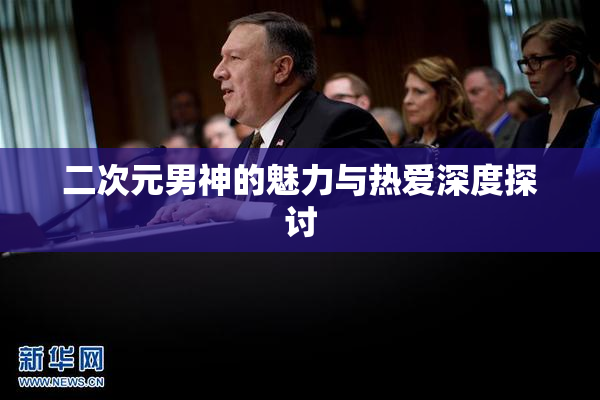 二次元男神的魅力与热爱深度探讨