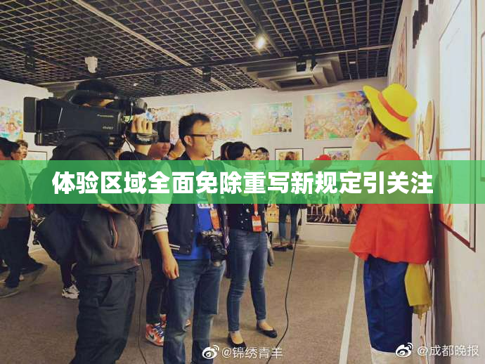 体验区域全面免除重写新规定引关注