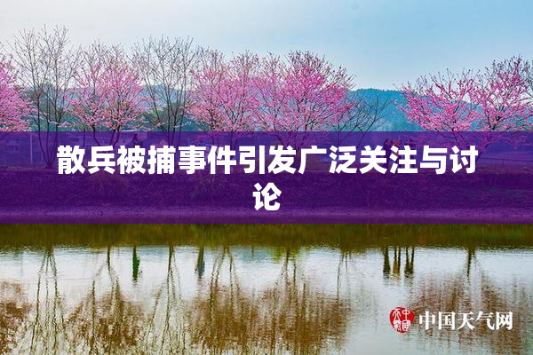 散兵被捕事件引发广泛关注与讨论