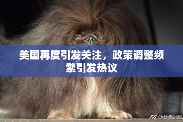 美国再度引发关注，政策调整频繁引发热议