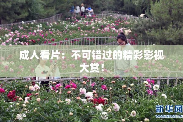 成人看片：不可错过的精彩影视大赏！