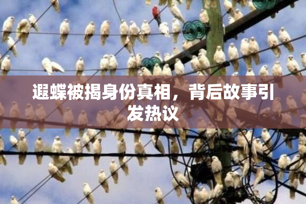 遐蝶被揭身份真相，背后故事引发热议
