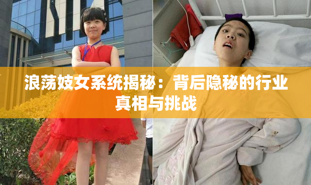 浪荡妓女系统揭秘：背后隐秘的行业真相与挑战