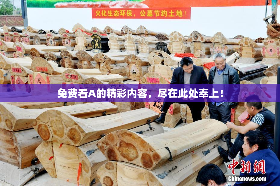 免费看A的精彩内容，尽在此处奉上！
