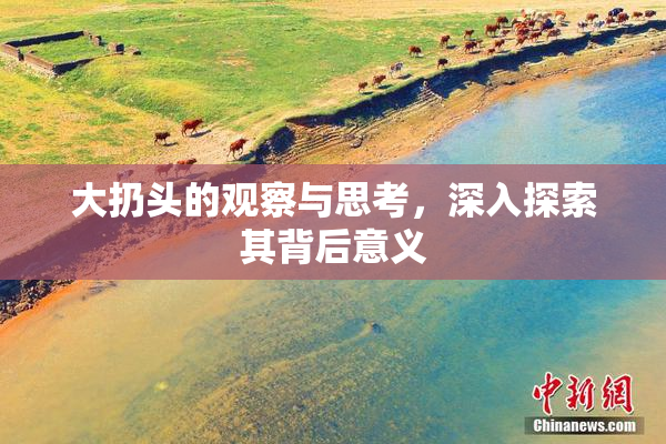 大扔头的观察与思考，深入探索其背后意义