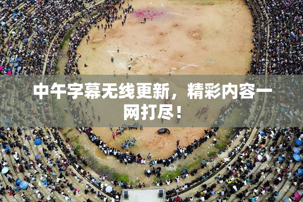 中午字幕无线更新，精彩内容一网打尽！