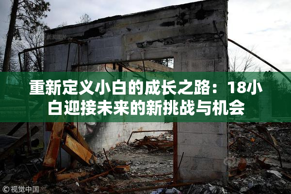 重新定义小白的成长之路：18小白迎接未来的新挑战与机会