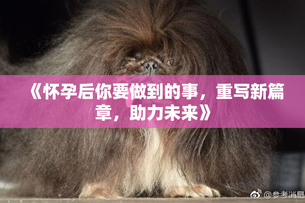 《怀孕后你要做到的事，重写新篇章，助力未来》