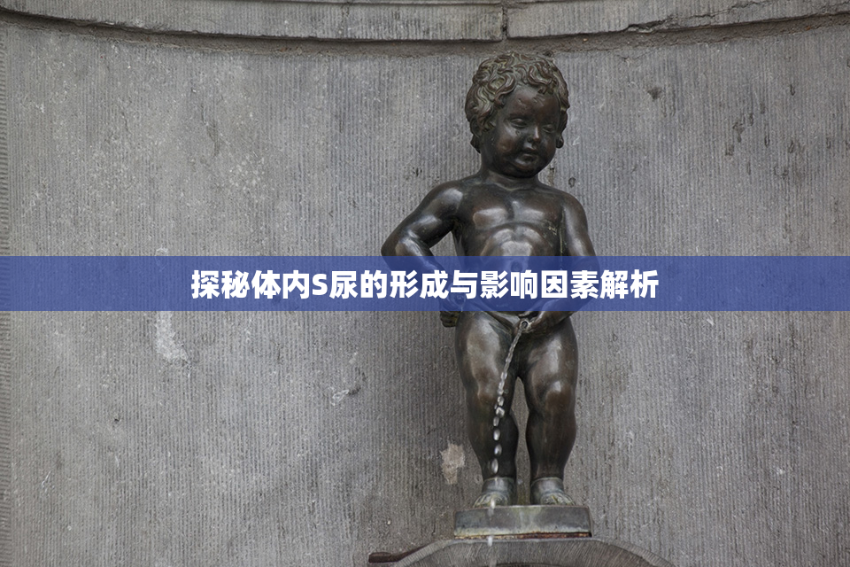 探秘体内S尿的形成与影响因素解析