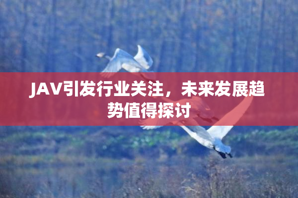 JAV引发行业关注，未来发展趋势值得探讨