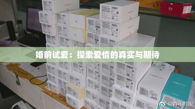 婚前试爱：探索爱情的真实与期待