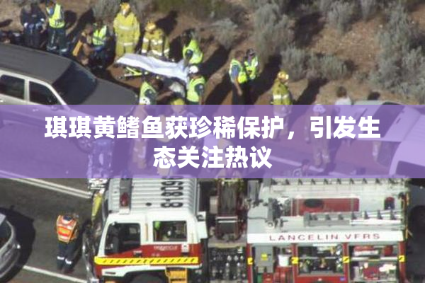 琪琪黄鳍鱼获珍稀保护，引发生态关注热议