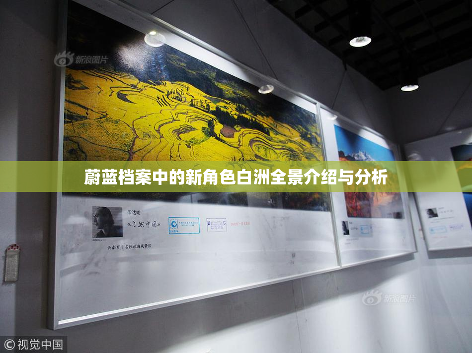 蔚蓝档案中的新角色白洲全景介绍与分析