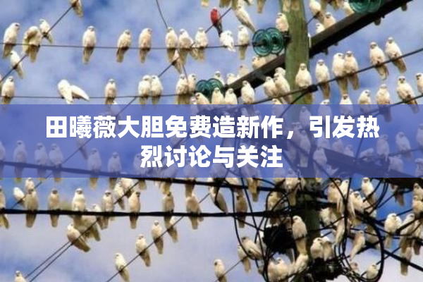 田曦薇大胆免费造新作，引发热烈讨论与关注